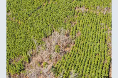 Lot 2 Fm 556, Pittsburg, TX 75686 - Photo 5