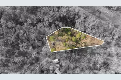 221 Butternut Glen, Holly Lake Ranch, TX 75765 - Photo 39