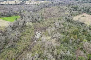 429 Texana Rd, Big Sandy, TX 75755 - Photo 9