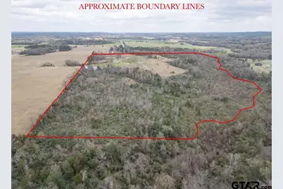 429 Texana Road, Big Sandy, TX 75755 - Photo 19