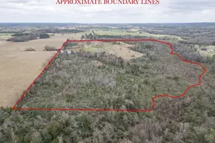 429 Texana Rd, Big Sandy, TX 75755 - Photo 19