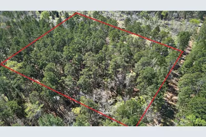 0 An Country Road 3193, Frankston, TX 75763 - Photo 15