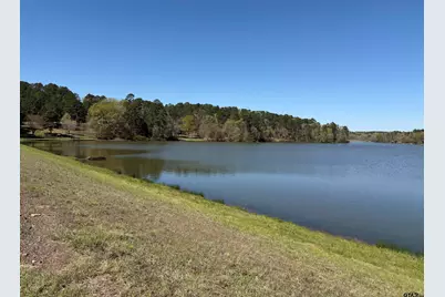 0 An Country Road 3193, Frankston, TX 75763 - Photo 17