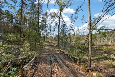 0 An Country Road 3193, Frankston, TX 75763 - Photo 13