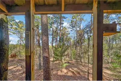 0 An Country Road 3193, Frankston, TX 75763 - Photo 9