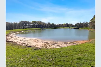 8260 W St Hwy 31, Athens, TX 75751 - Photo 9