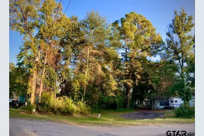 262 E Walnut Trail, Murchison, TX 75778 - Photo 3