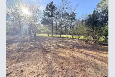 19874 Fm 345, Arp, TX 75750 - Photo 3