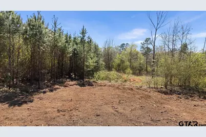 Tbd Fm 345, Arp, TX 75750 - Photo 5