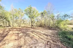 19874 FM345, Arp, TX 75750 - Photo 1