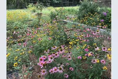 1383 Fm 3266, Palestine, TX 75801 - Photo 45