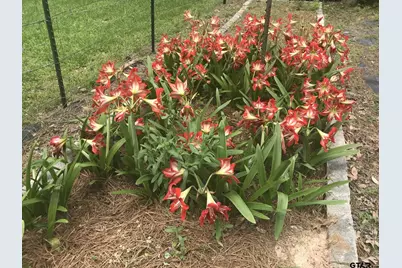 1383 Fm 3266, Palestine, TX 75801 - Photo 43