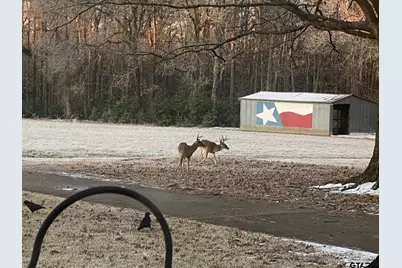 1383 Fm 3266, Palestine, TX 75801 - Photo 41
