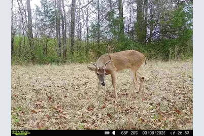 000 County Road 2280, Arp, TX 75750 - Photo 15