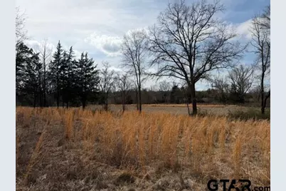 000 County Road 2280, Arp, TX 75750 - Photo 37