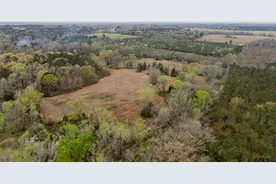 000 County Road 2280, Arp, TX 75750 - Photo 9