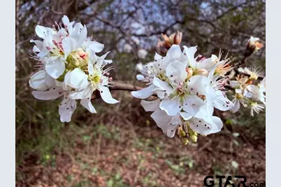 000 County Road 2280, Arp, TX 75750 - Photo 27