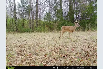 000 County Road 2280, Arp, TX 75750 - Photo 21