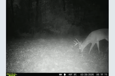 000 County Road 2280, Arp, TX 75750 - Photo 19