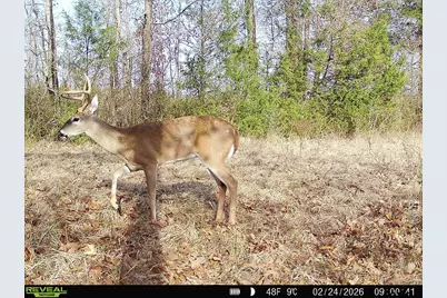 000 County Road 2280, Arp, TX 75750 - Photo 17
