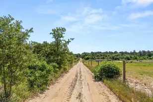 3472 Fm 2869, Hawkins, TX 75765 - Photo 31