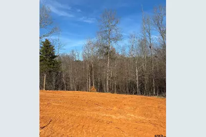 Tbd Cr 244 Tract 2, Overton, TX 75684 - Photo 11