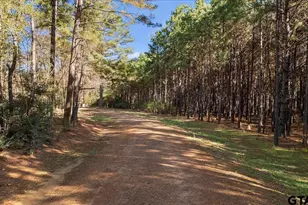 6990 Pin Oak Rd, Big Sandy, TX 75755 - Photo 47