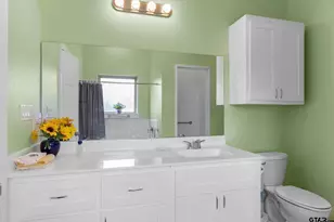 1461 Vz County Road 4607, Ben Wheeler, TX 75754 - Photo 21