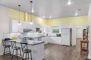 1461 Vz County Road 4607, Ben Wheeler, TX 75754 - Photo 13