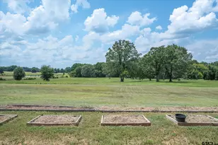 1461 Vz County Road 4607, Ben Wheeler, TX 75754 - Photo 37