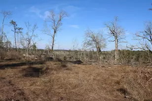 Tbd Cr 1627-34 Acres, Rusk, TX 75785 - Photo 1