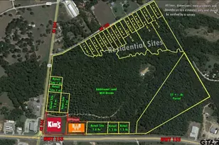 000 Fm 344, Flint, TX 75762 - Photo 1