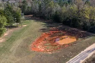 827 Co Rd 3808, Bullard, TX 75757 - Photo 37