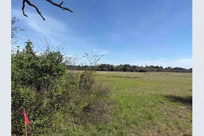 11358 C R 4128, Lindale, TX 75771 - Photo 9