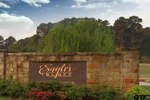 160 Eagles Bluff Blvd, Bullard, TX 75757 - Photo 11