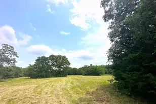 Tbd Cr 1405 Lot 6, Athens, TX 75751 - Photo 1