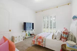 481 An County Rd 4035, Palestine, TX 75803 - Photo 27