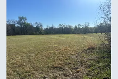 Tbd Lot 19 Legacy Park, Pittsburg, TX 75686 - Photo 3