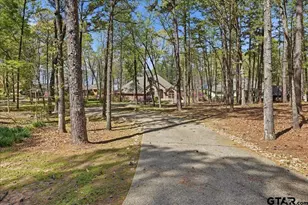 15744 Timberhill Dr, Flint, TX 75762 - Photo 43