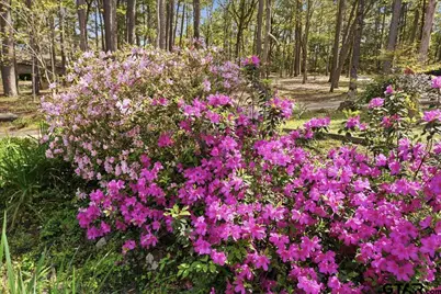 15744 Timberhill Dr, Flint, TX 75762 - Photo 37