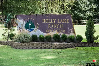 161 Pine Branch Glen, Holly Lake Ranch, TX 75765 - Photo 37