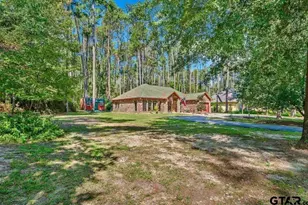 161 Pine Branch Glen, Holly Lake Ranch, TX 75765 - Photo 3