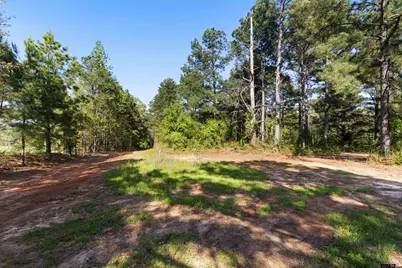 Tbd Fm 852, Winnsboro, TX 75494 - Photo 7