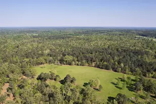 Tbd Fm 852, Winnsboro, TX 75494 - Photo 1