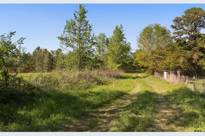 Tbd Fm 852, Winnsboro, TX 75494 - Photo 11