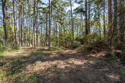 18591 & 18609 Lazy Ln, Flint, TX 75762 - Photo 11