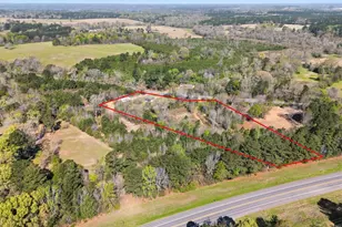 19810 FM345, Arp, TX 75750 - Photo 19