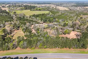 19810 FM345, Arp, TX 75750 - Photo 23