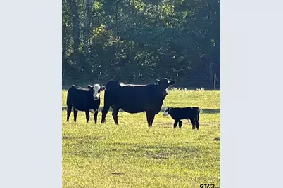 11011 Fm 2710, Lindale, TX 75771 - Photo 15