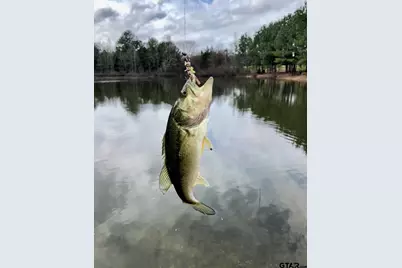 11011 Fm 2710, Lindale, TX 75771 - Photo 13